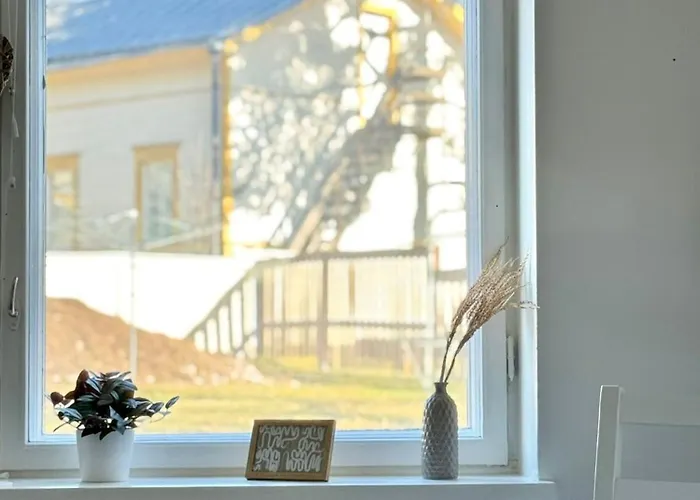 Cozy In The Heart Of The